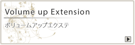 Volume up Extension ボリュームアップエクステ